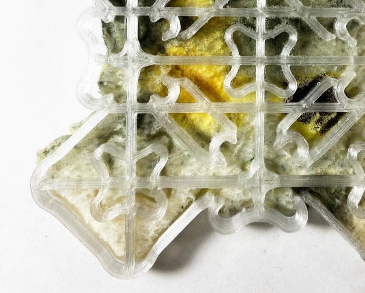mole mold